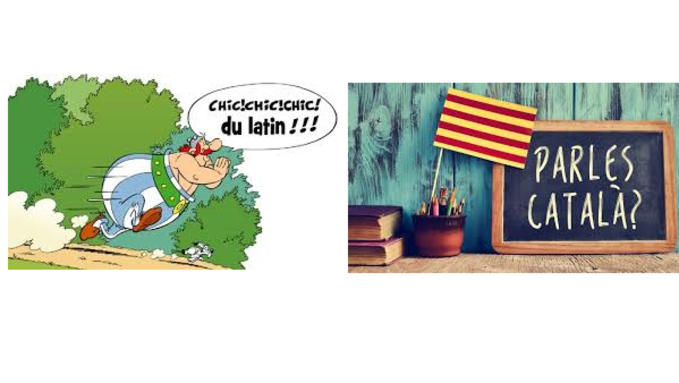 options cinquième.png
