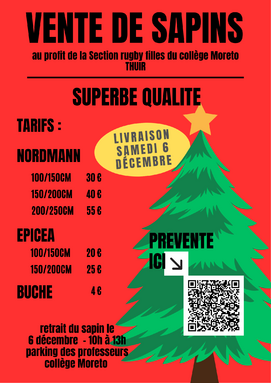AFFICHE SAPINS 2025.png